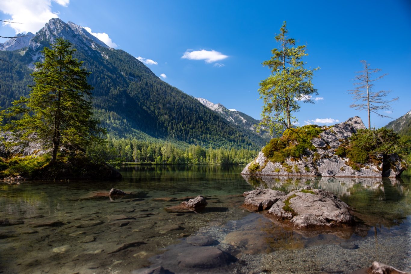 Hintersee Berglandschaft mit klarer Wasserfläche und grünen Bäumen unter klarem Himmel.