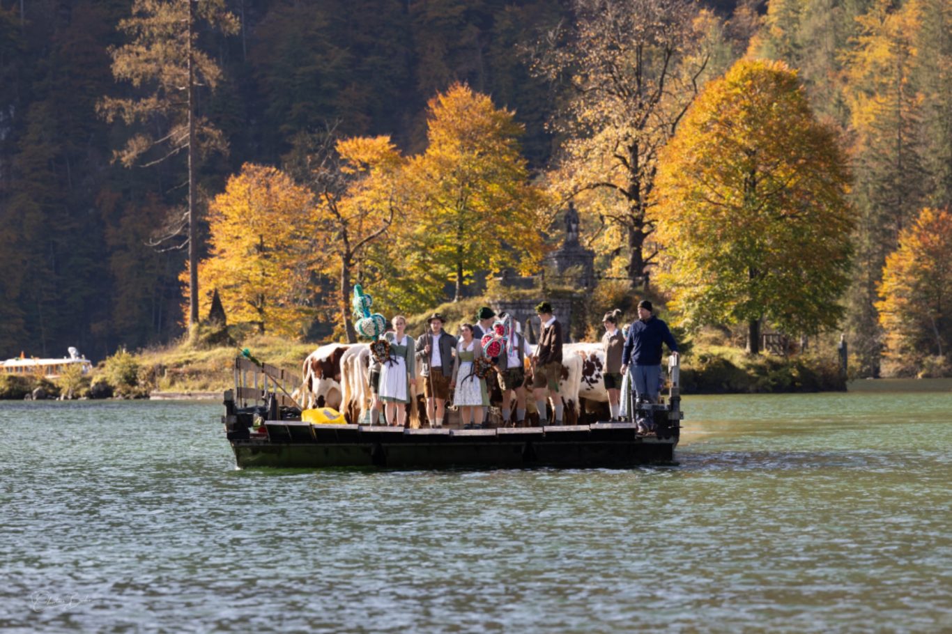 Almabtrieb von der Fischunklalm Eine Gruppe von Menschen auf einem Boot im Herbst, umgeben von bunten Laubbäumen.